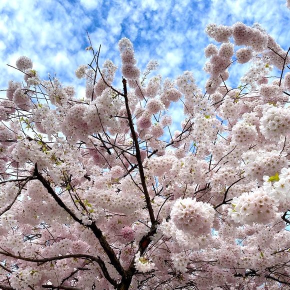 Meet your Posher, hvmcnally - Picture 1 of 1